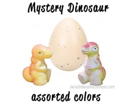 Class Collections Surprise Growing Dinosaur Hatch Egg Kids Novelty Toy- Pack of 2