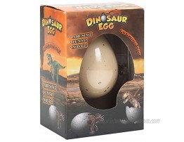 Class Collections Surprise Growing Dinosaur Hatch Egg Kids Novelty Toy- Pack of 2
