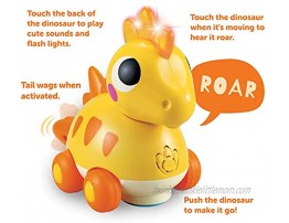 JOYIN Musical Dinosaur Toy with Sounds and Lights for Infants Babies & Toddlers Interactive Learning Development