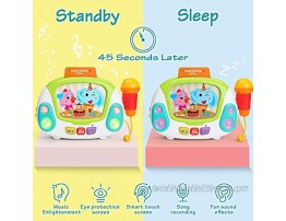 LUKAT Musical Toy for 2 3 4 Years Old Girls Boys Kids Music Karaoke Machine with Microphone Early Educational Toys Jukebox with Singing Recording & Voice Changing Function Gift for Toddlers