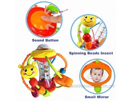 HOLA Baby Toys 6 to 12 Months Baby Rattles Activity Ball Shaker Grab and Spin Rattle Crawling Educational Toys for 3 6 9 12 Months Baby Infant Boys Girls