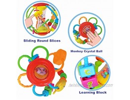 HOLA Baby Toys 6 to 12 Months Baby Rattles Activity Ball Shaker Grab and Spin Rattle Crawling Educational Toys for 3 6 9 12 Months Baby Infant Boys Girls