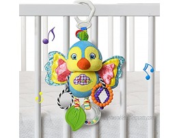 stochastic box Baby Rattle Toy with Baby Mirror,Newborn Toys 0 3 6 Months Brain Development,Great Gift for Girl&boy Bird