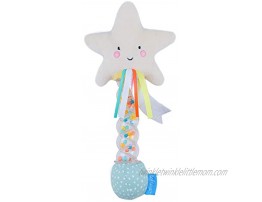 Taf Toys Star Rainstick Rattle Musical Shake & Rattle Rainmaker Toy Musical Instrument for Babies and Toddlers for Sensory and Motor Skills Development