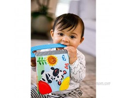 Baby Einstein Curious Explorers Teether Book Take-Along Toy Ages Newborn +