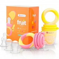 NatureBond Baby Food Feeder Fruit Feeder Pacifier 2 Pack Infant Teething Toy Teether | Includes Additional Silicone Sacs