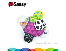 Sassy Discover The Senses Developmental Gift Set for Newborns and Up | Includes Bumpy Ball High Chair Toy Water-Filled Teether 9 Piece Ring O’ Links