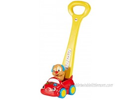 Infant–Car Puppy Interactive Fisher-Price Mattel dld86