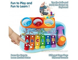 HOLA Hammering Pounding Toys Educational Ball Pound and Tap Bench Toy Xylophone Birthday Gift for 1 2 3+ Years Boy Girl Baby Toddler Kids Developmental Montessori Learning Toy