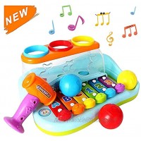 HOLA Hammering Pounding Toys Educational Ball Pound and Tap Bench Toy Xylophone Birthday Gift for 1 2 3+ Years Boy Girl Baby Toddler Kids Developmental Montessori Learning Toy
