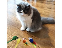 Adorcat Interactive Cat Toys Variety Pack for Kitty Pack of 20
