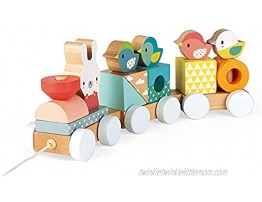 Janod Pure 2-in-1 Beech & Cherry Wood Train Pull-Along & Activity Stacker for Motor Skills & Active Play
