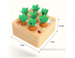 Ancaixin Wooden Toys for 1 Year Old Boys and Girls Montessori Size Sorting & Counting Puzzle Game for 2 3 Year Olds Carrots Harvest Developmental Gifts for Fine Motor Skill
