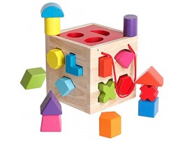 BESTAMTOY Shape Sorter Toy My First Wooden 12 Building Blocks Geometry Learning Matching Sorting Gifts Didactic Classic Toys for Toddlers Baby Kids 31 Years Old Up Fourteen Hole Toy