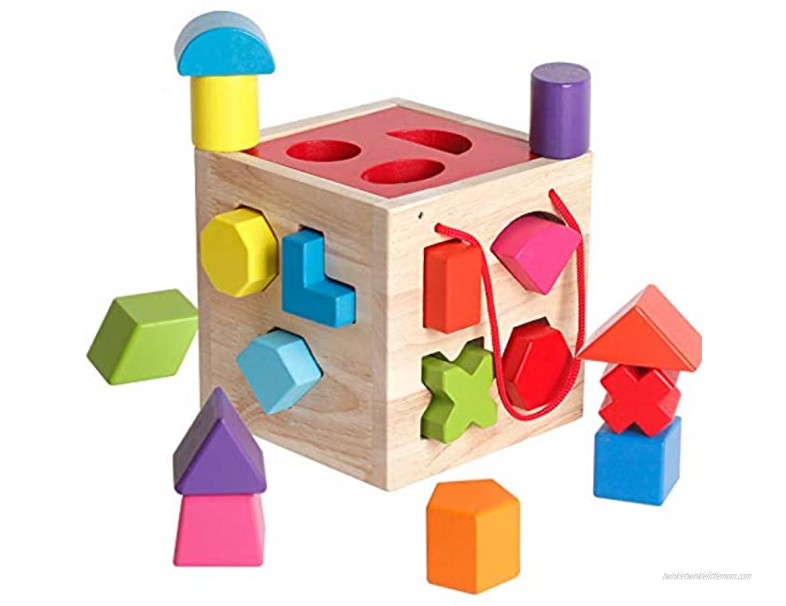 BESTAMTOY Shape Sorter Toy My First Wooden 12 Building Blocks Geometry Learning Matching Sorting Gifts Didactic Classic Toys for Toddlers Baby Kids 31 Years Old Up Fourteen Hole Toy