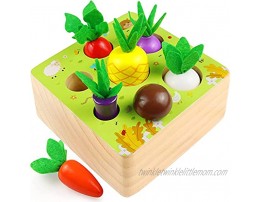 Montessori Toys for Toddlers 1 2 Year Old Boys Girls Wooden Baby Toys Farm Harvest Game Educational Fine Motor Skills Toys for Ages 1-3 Shape Sorting & Counting Puzzle 7 Sizes Vegetable or Fruit