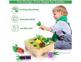 Montessori Toys for Toddlers 1-3 Years Old Educational Wooden Toys for Boys and Girls Shape Size Sorting Puzzle Farm Harvest Early Learning Toy Developmental Gift for Fine Motor Skill
