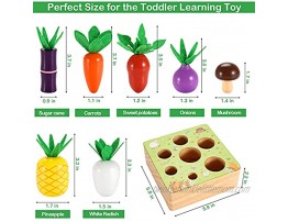 Montessori Toys for Toddlers 1-3 Years Old Educational Wooden Toys for Boys and Girls Shape Size Sorting Puzzle Farm Harvest Early Learning Toy Developmental Gift for Fine Motor Skill