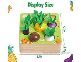 Montessori Wooden Toys for 1 2 3 Years Old Boys Girls Vegetable Fruit Harvest Shape Size Sorting Puzzle Games for Fine Motor Skill STEM Educational Toy Gift for Preschool Kindergarten Toddlers Kids