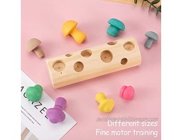 Set of 9 Colorful Wooden Mushroom Picking Toys- 8pcs Rainbow Simulation Mushroom Blocks in 8 Sizes with Wood Cylinder Base Mushroom Matching Shape Sorting Game Toys for Preschool Kids Infants Toddlers