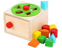 TOWO Wooden Shape Sorter Sorting Box with Latch Lock Rotating Wheel -Screw- and Shape Blocks- Sorting Cube Educational Toys for Kids Early Learning Montessori Materials