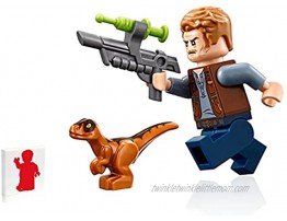 Lego Jurassic World Minifigure Owen Grady with Baby Orange Raptor Dinosaur and Tranquilizer Gun Limited Edition