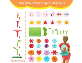 IQKidz 3-6 Years Old Toddler Toys Flower Garden Building Toy and Insect Pegs Great Gifts for Preschool-Kindergarten Age Girls and Educational Activity STEM Stacking Pretend Play Set 153pcs
