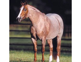 Breyer Horses Traditional Series Peptoboonsmal | Champion Cutting Horse | Horse Toy Model | 14 x 8 | 1:9 Scale Horse Figurine | Model #1829