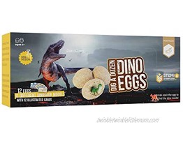 Dig a Dozen Dino Egg Dig Kit Easter Egg Dinosaur Toys for Kids Dig up 12 Eggs & Discover Surprise Dinosaurs. Science STEM Activities Educational Gifts for Boys & Girls Age 3-5 5-7 8-12 Year Old