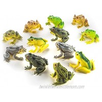 Fun Central 24 Pack 3 Inch Rubber Realistic Frog Figurine for Kids & Toddlers Assorted Designs