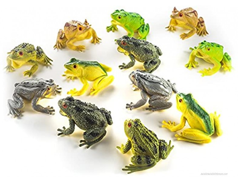 Fun Central 24 Pack 3 Inch Rubber Realistic Frog Figurine for Kids & Toddlers Assorted Designs
