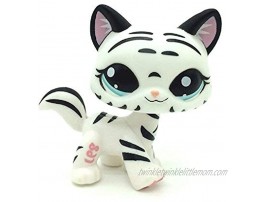 LPS-KB Mini pet Shop Toy Tiger cat Hello Kitty White Stripes with Water Blue Eyes Cute LPS Cartoon pet cat and Dog Toy Mini pet Shop Toy Small pet Shop Toy Gift
