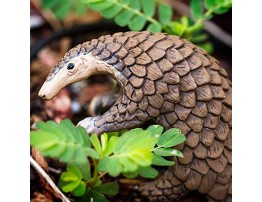 Safari Ltd. Incredible Creatures Pangolin Quality Construction from Phthalate Lead and BPA Free Materials for Ages 3 and Up