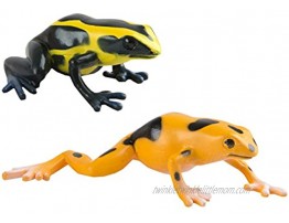 Safari Ltd. Poison Dart Frogs TOOB Quality Construction from Safe and BPA Free Materials