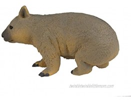 Safari Ltd. Wildlife Collection Realistic Wombat Toy Figure Non-Toxic and BPA Free Ages 3 and Up
