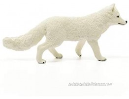 SCHLEICH Wild Life Animal Figurine Animal Toys for Boys and Girls 3-8 Years Old Arctic Fox