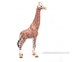 SCHLEICH Wild Life Animal Figurine Animal Toys for Boys and Girls 3-8 Years Old Female Giraffe