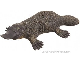 Schleich Wild Life Animal Figurine Animal Toys for Boys and Girls 3-8 years old Platypus