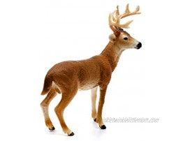 SCHLEICH Wild Life Animal Figurine Animal Toys for Boys and Girls 3-8 Years Old White-Tailed Buck
