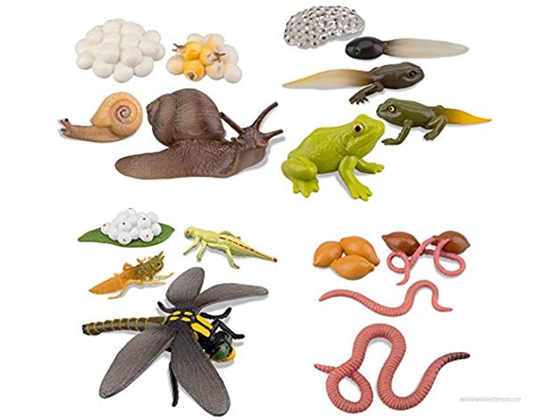 TOYMANY 17PCS Life Cycle of Frog Snail Earthworm Dragonfly Egg Tadpole to Frog Safariology Amphibian Figurines Toy Kit Plastic Forest Animal Figures Educational School Project for Kids