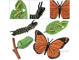 Yardwe 4Pcs Insect Figurines Life Cycle of Monarch Butterfly Plastic Caterpillars to Butterflies Bug Figures Toy Kit Educational School Project for Kids Gift