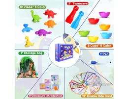 Counting Dinosaurs Sorting Toy Set With Matching Cups Toddlers 72 PCS Dino Counting Toys with Math Cards Preschool Learning Toys STEM Educational Game for Kids 3 4 5 6 7 8+ Years Boys Girls