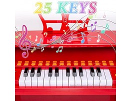 GobiDex Learn-to-Play Piano Toy Keyboard with 25 Keys and Lighting Teaching Model,Toddler Musical Instruments with Microphone for Toddler Girls and Boys Birthday Gift Age 3-6