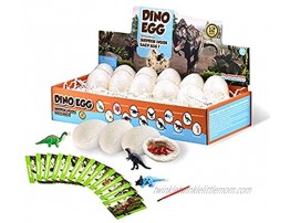ASIGN Dino Egg Toys（Pack of 12） for Children，Dinosaur Toys Easter Egg Dig Dinosaur Eggs Educational Science Kits Toys Great Gift for Kids
