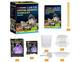 Crystal Growing Kit for Kids Stem Projects for Kids Ages 8-12 Crystals Grow Fast in 3-7 Days Exciting and Enriching Science Kits for Kids 4-6 Cool Toys for 7 8 9 10 Year Old Boys and Girls