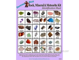 Dancing Bear Rock & Mineral Collection Activity Kit 200 Pc Set with Meteorite Real Shark Teeth Fossils Arrowheads Crystals Gemstones Treasure Hunt ID Sheet STEM Science Education Made in USA
