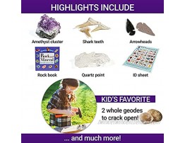 Dancing Bear Rock & Mineral Collection Activity Kit 200+Pcs with Geodes Shark Teeth Fossils Arrowheads Crystals Gemstones for Kids Rock Book Treasure Hunt ID Sheet STEM Education Made in USA
