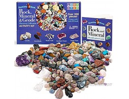Dancing Bear Rock & Mineral Collection Activity Kit 200+Pcs with Geodes Shark Teeth Fossils Arrowheads Crystals Gemstones for Kids Rock Book Treasure Hunt ID Sheet STEM Education Made in USA