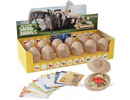 Dig a Dozen Safari Animals Kit Break Open 12 Unique Wild Animal Eggs and Discover 12 Cute Animals with Learning Cards Easter Archaeology Science STEM Gift