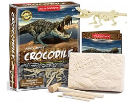 DIGLAB Prehistoric Crocodile Dig Kit Dino Fossil Excavation Kit for Kids Science Education Toys STEM 3D Dinosaur Skeleton DIY Toys for Boys Girls